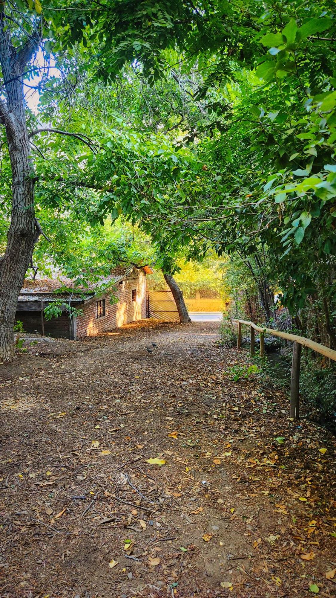El Jardin, Eco Cabanas Boutique San Alfonso Zewnętrze zdjęcie