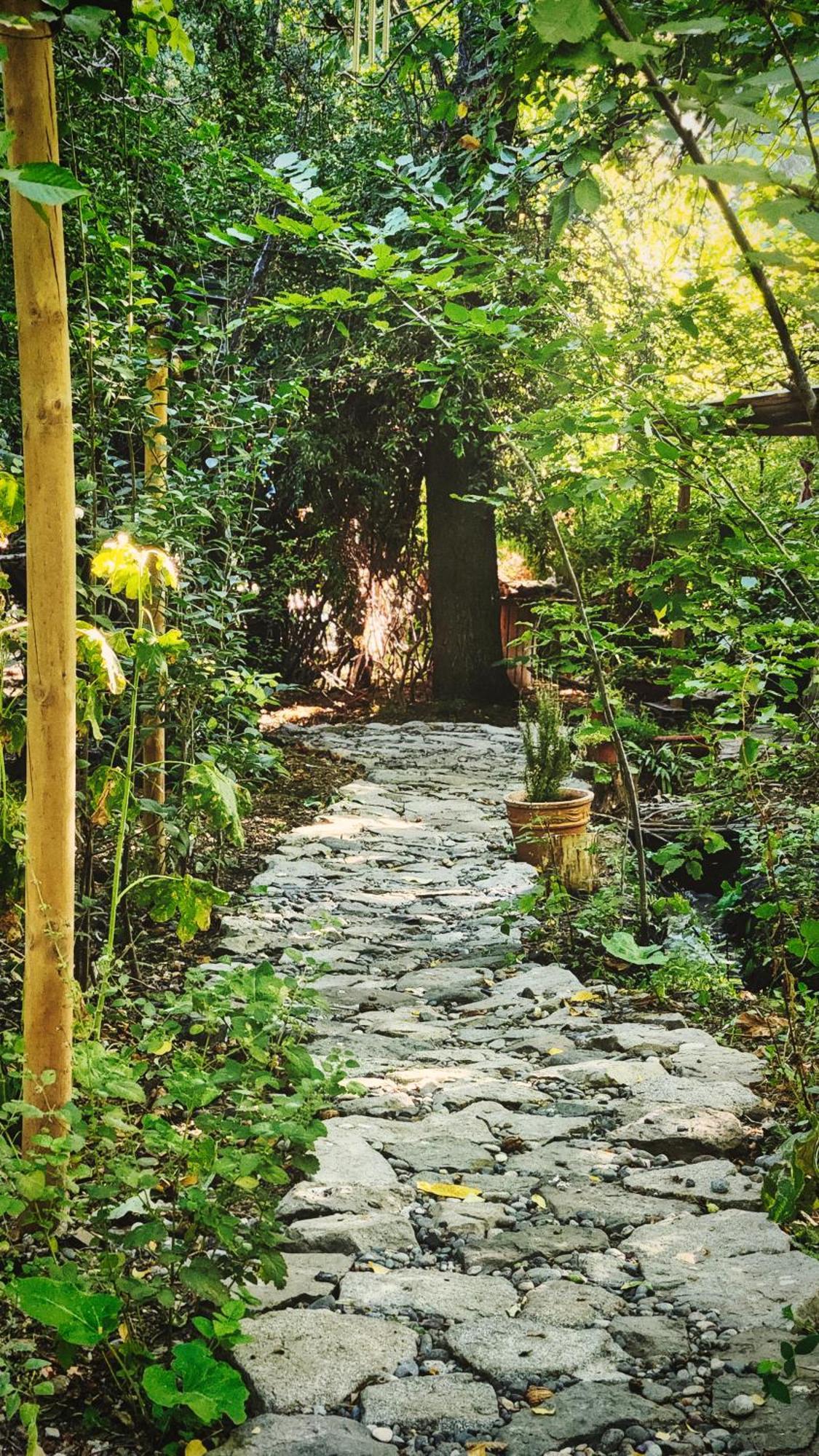 El Jardin, Eco Cabanas Boutique San Alfonso Zewnętrze zdjęcie
