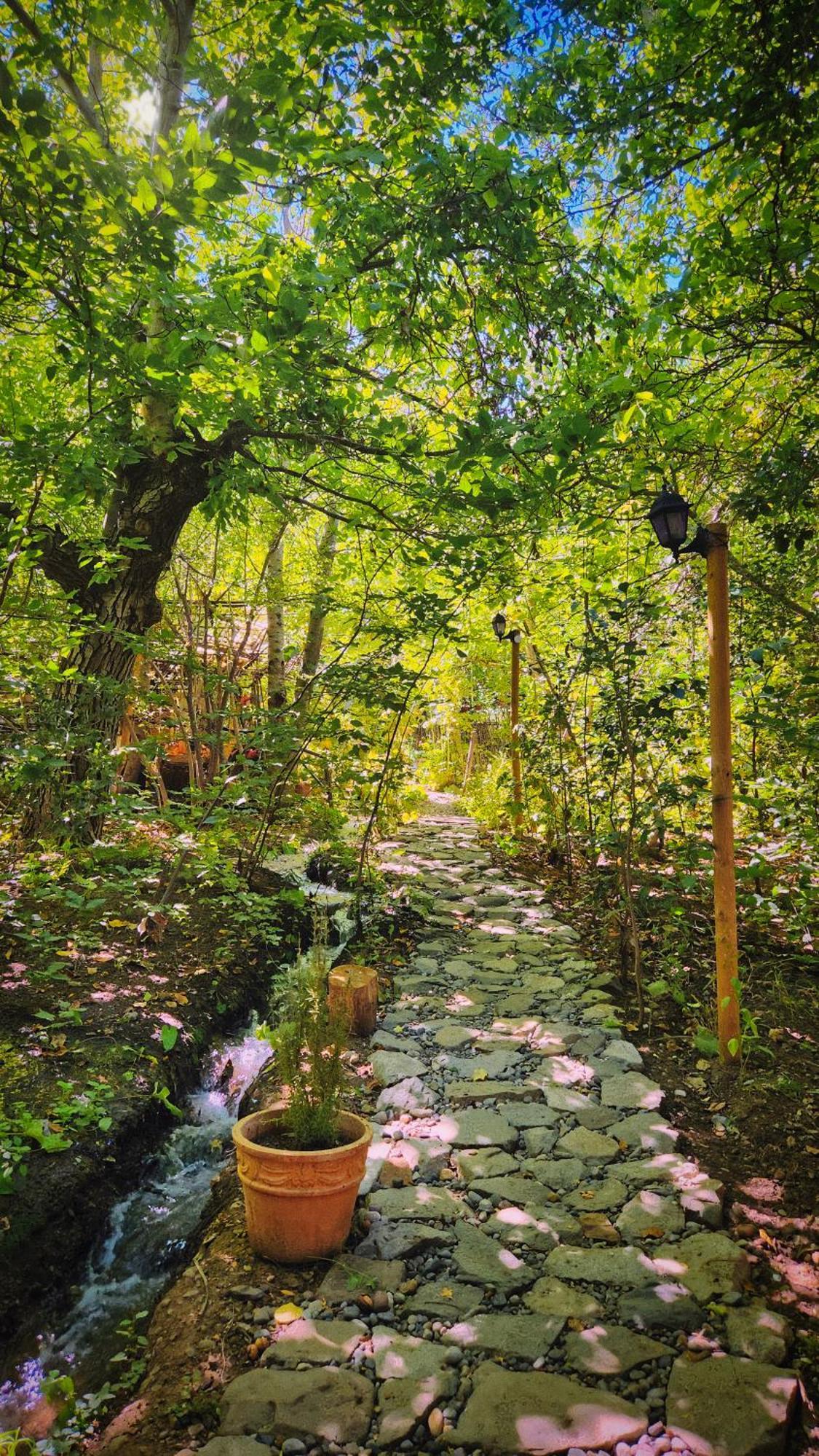 El Jardin, Eco Cabanas Boutique San Alfonso Zewnętrze zdjęcie