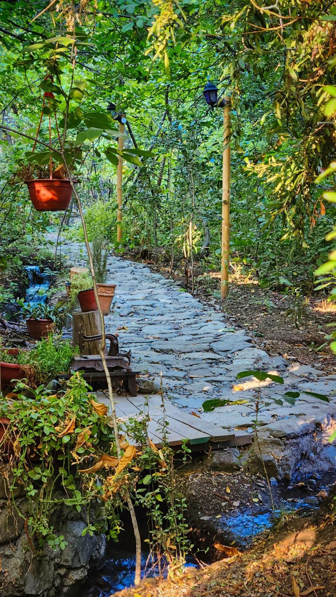 El Jardin, Eco Cabanas Boutique San Alfonso Zewnętrze zdjęcie