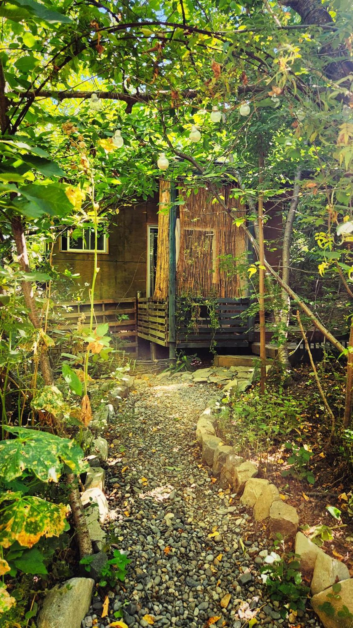 El Jardin, Eco Cabanas Boutique San Alfonso Zewnętrze zdjęcie